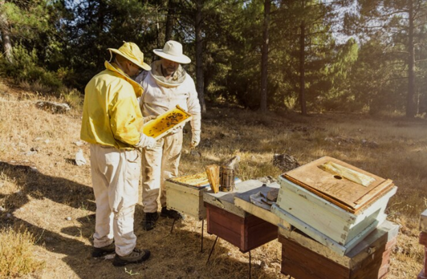 Important Reasons Why You Need To Hive Control Specialist